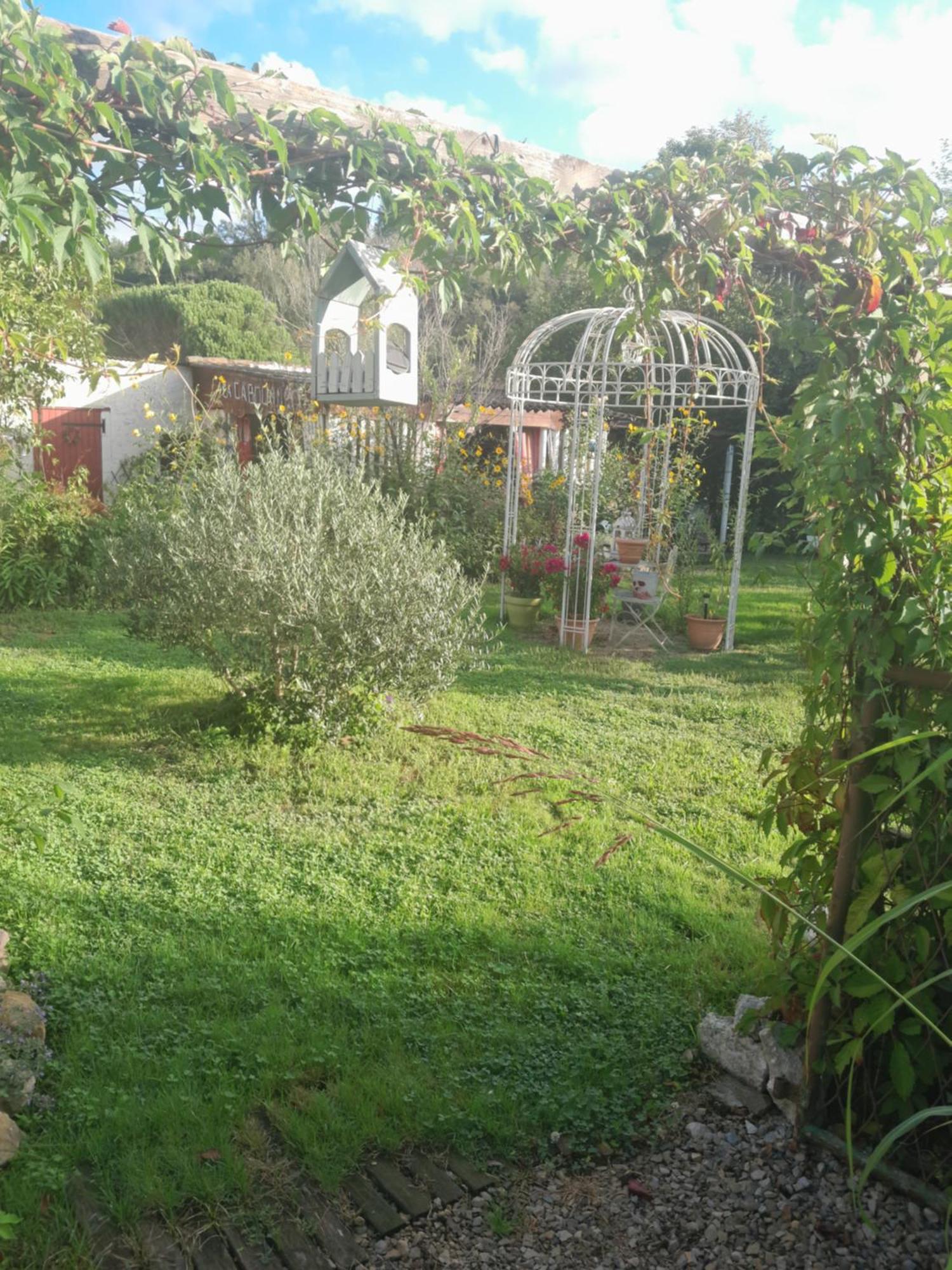 Chambre D'Hote Amitie Et Jardin Carmaux Luaran gambar