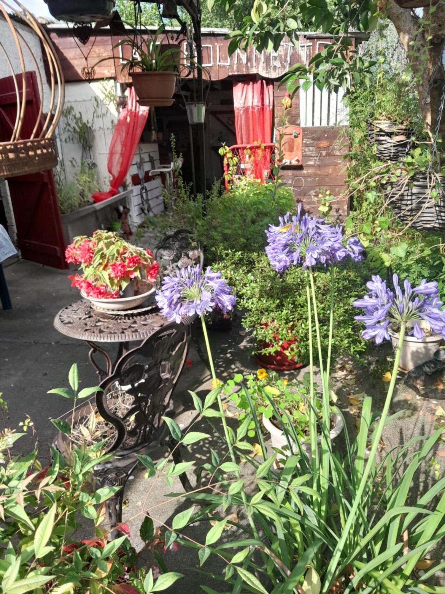 Chambre D'Hote Amitie Et Jardin Carmaux Luaran gambar